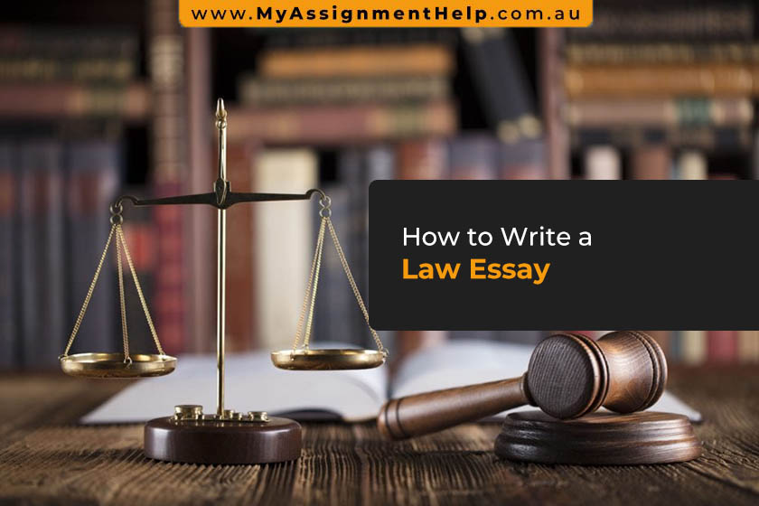 essay on lawyer in english